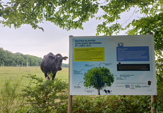 Visite à Serinchamps - verger