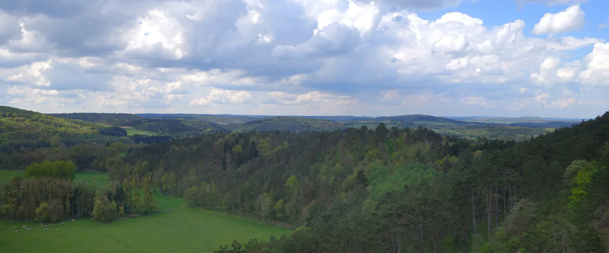 Le végétal comme outil de résilience territoriale