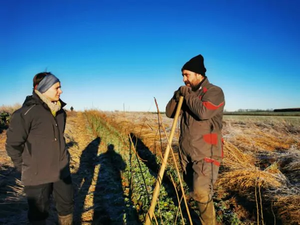 Plantation d'arbres en champs en Belgique en faveur de la biodiversité et du climat.