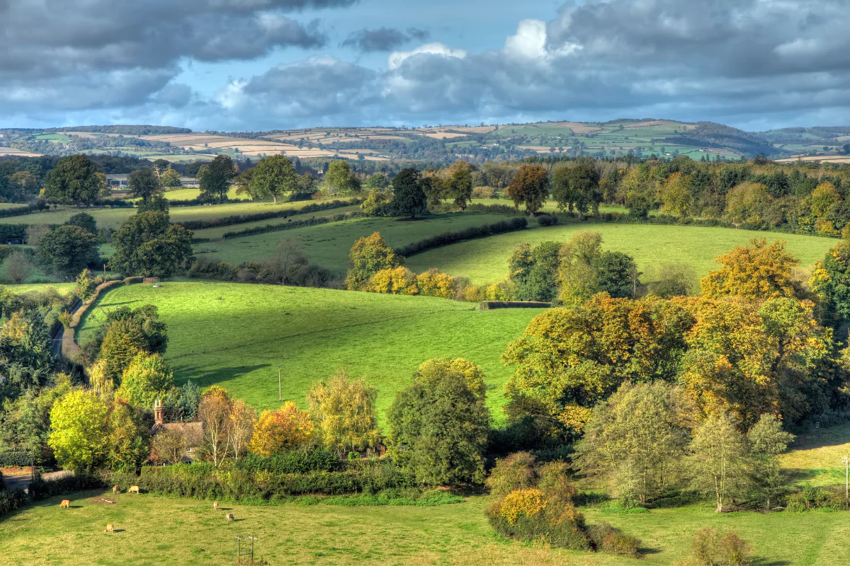 Le végétal comme outil de résilience territoriale. Paysage illustrant l'aspect bocager, les arbres d'alignements, bosquets et autres
