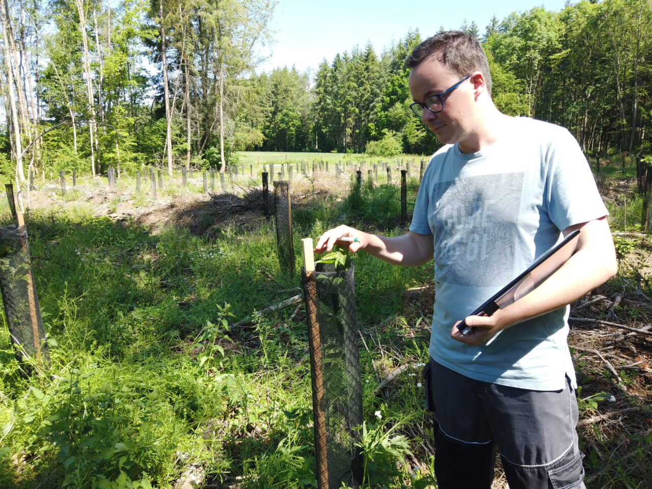 Lucas Gossiaux, Ingénieur agronome  vérifie une plantation en forêt menée par PlantC.
Planter pour le climat et la biodiversité en Belgique