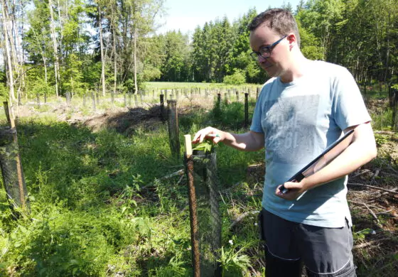 Vérification en forêt belge