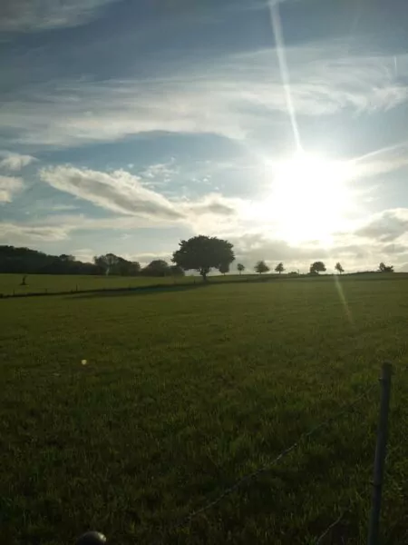 Plantation d'arbres en champs en Belgique en faveur de la biodiversité et du climat. 
