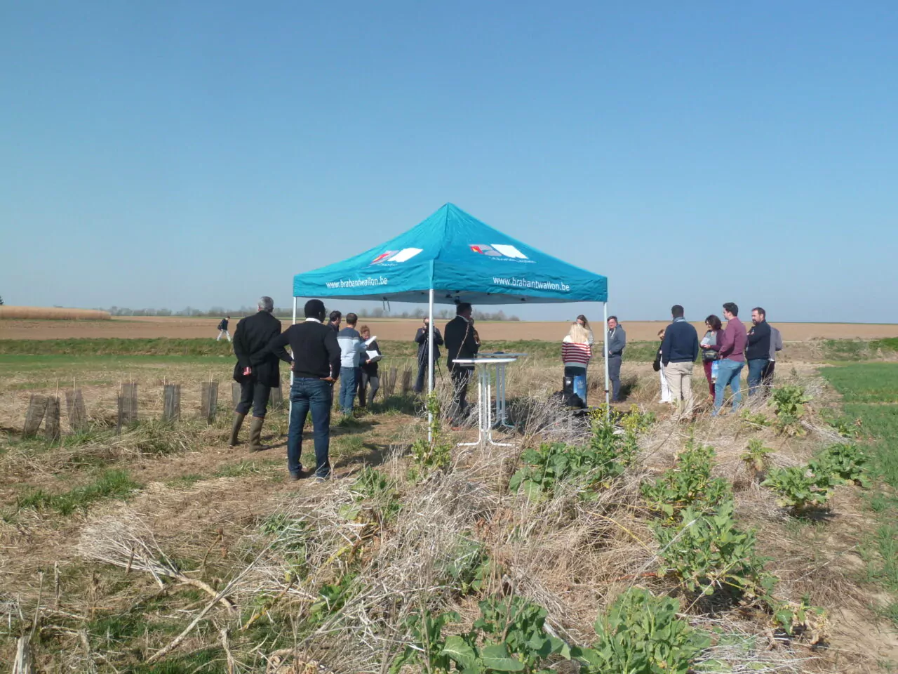 Concrétisation du maillage écologique dans le Brabant Wallon en faveur du climat et de la biodiversité en Belgique