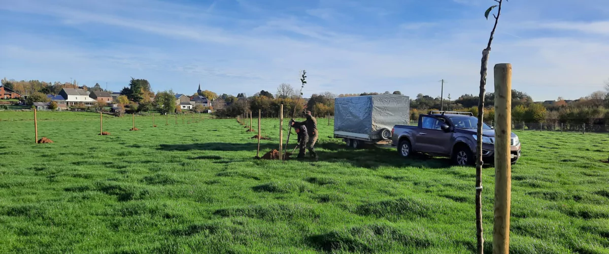 Ici, la plantation du verger est assurée par Cédric Guillaume