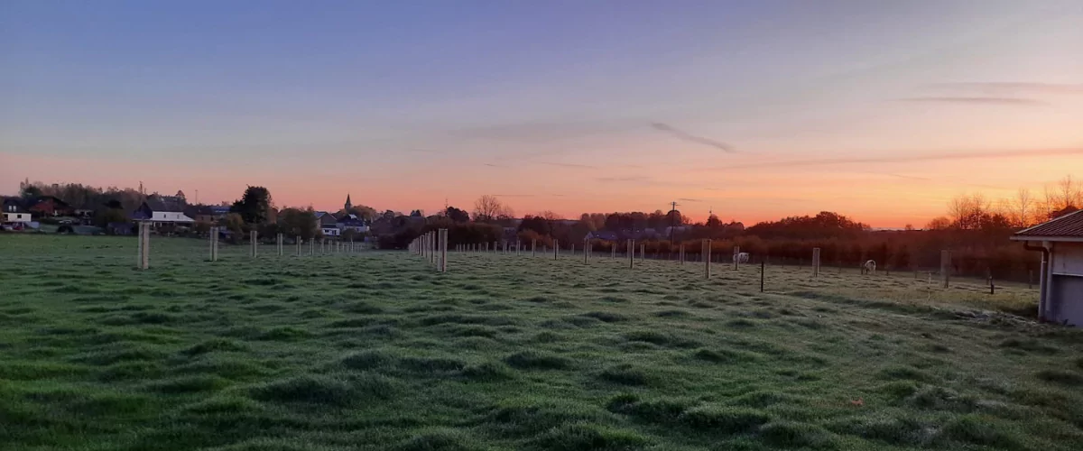 Coucher de soleil sur le verger de Benjamin