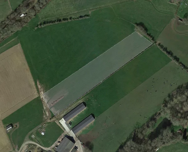 Vue du territoire impacté par la plantation à Stave. De l'ombre sera conférée aux animaux de la ferme.