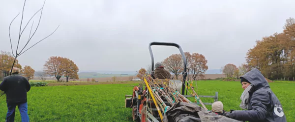 Plantation du verger diversifié