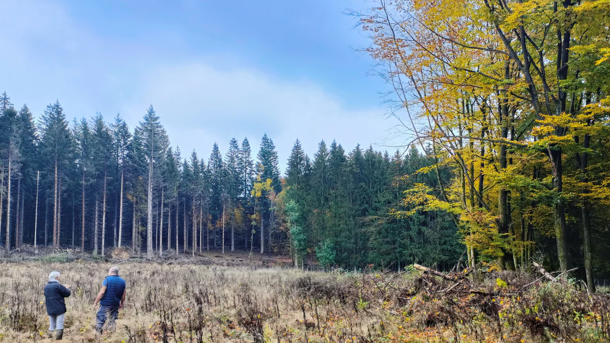 PlantC a participé au reboisement de 2000 arbres à Saint-Vith