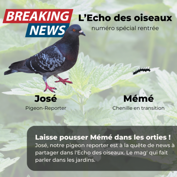 Laisse pousser Mémé dans les orties
