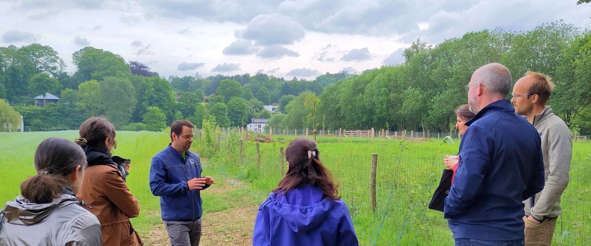 Viste terrain entreprises plantation de haie Lasne